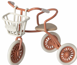 Tricycle Basket