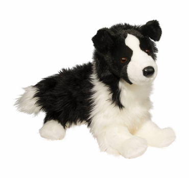 Chase Border Collie