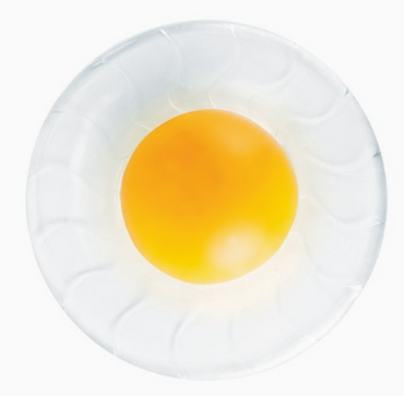 Egg Toss Flyer- Frisbee