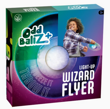 Light Up Wizard Flyer- Frisbee