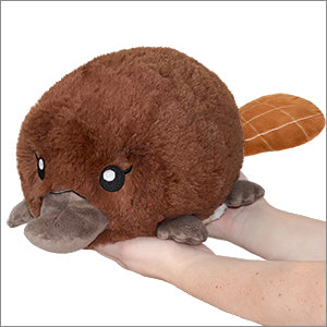 Baby Platypus Stuffed Animal Plush