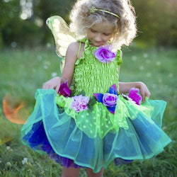 Fairy Dress & Wings