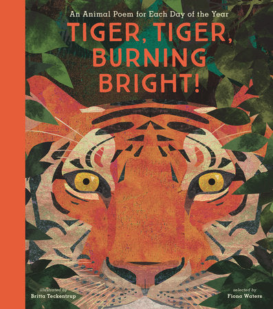 Tiger Tiger Burning Bright Book