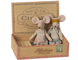 Mum & Dad Mice In Cigarbox