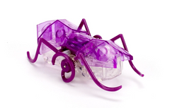 Hexbug Micro Ant