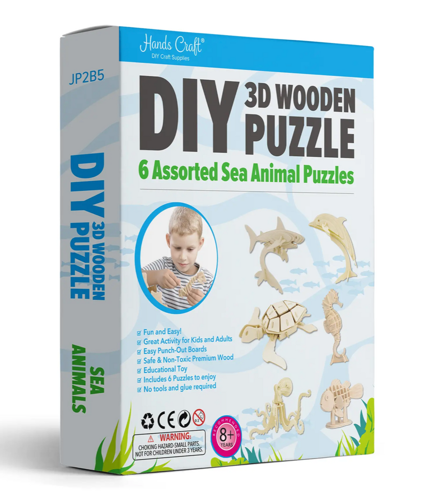 DIY 3D Wooden Puzzle 6 Count