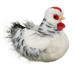 Black and White Hen