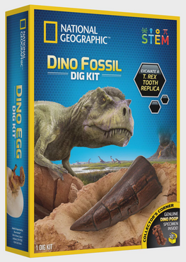 Dino Dig Kit