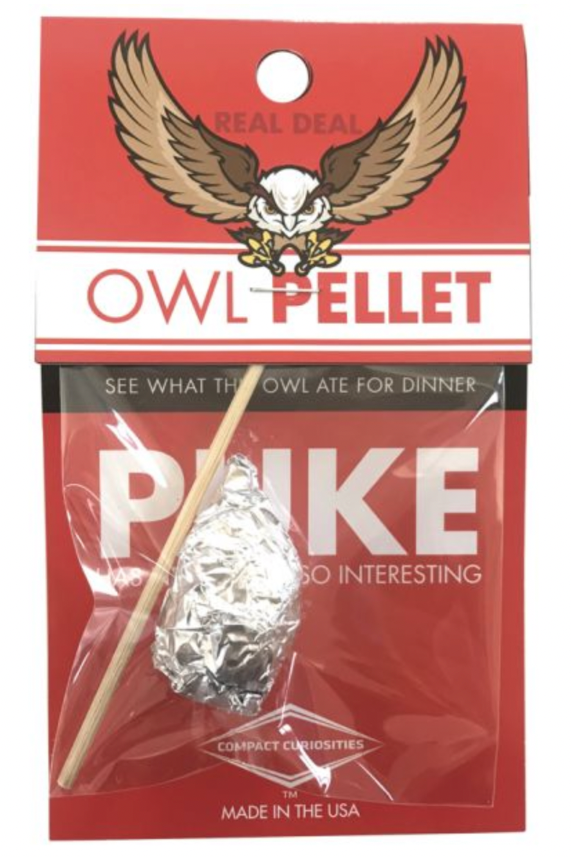 Owl Pellet