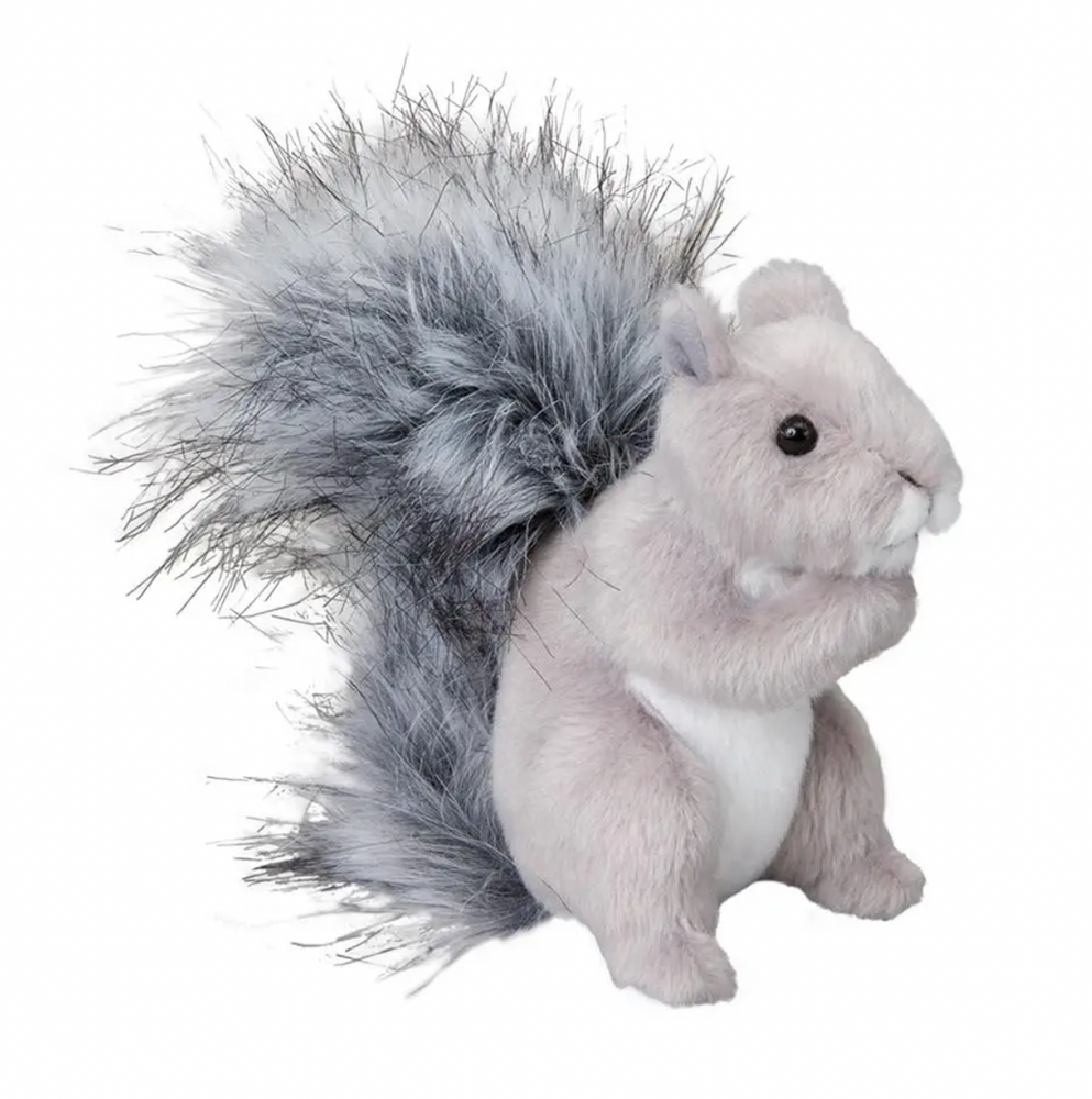 Shasta Gray Squirrel