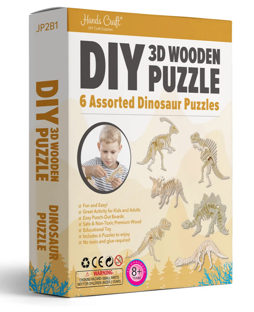 DIY 3D Wooden Puzzle 6 Count