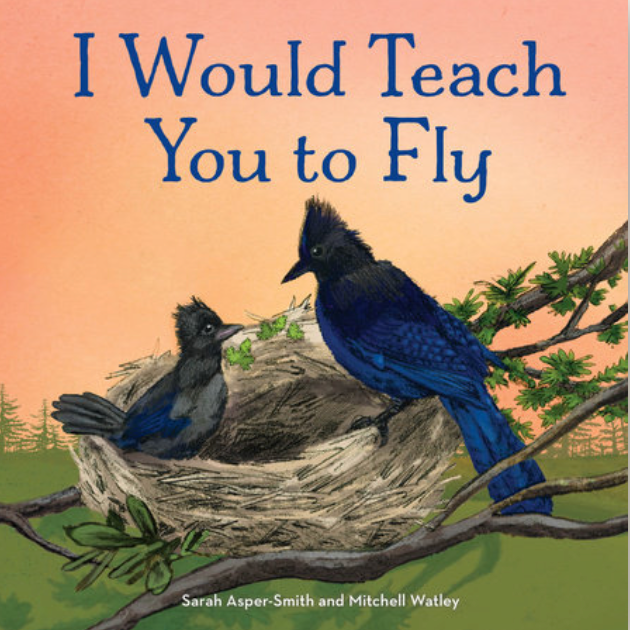 I Would Teach You To Fly Book