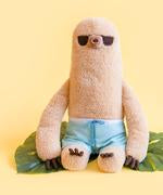 Pusheen Sloth with Swim Trunks
