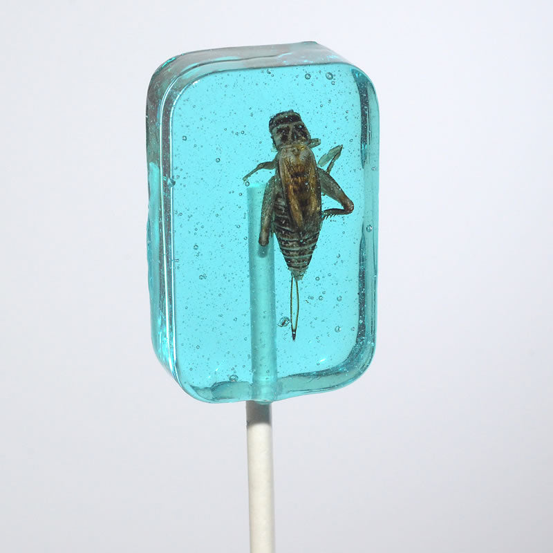 Cricket Sugar-Free Lollipop