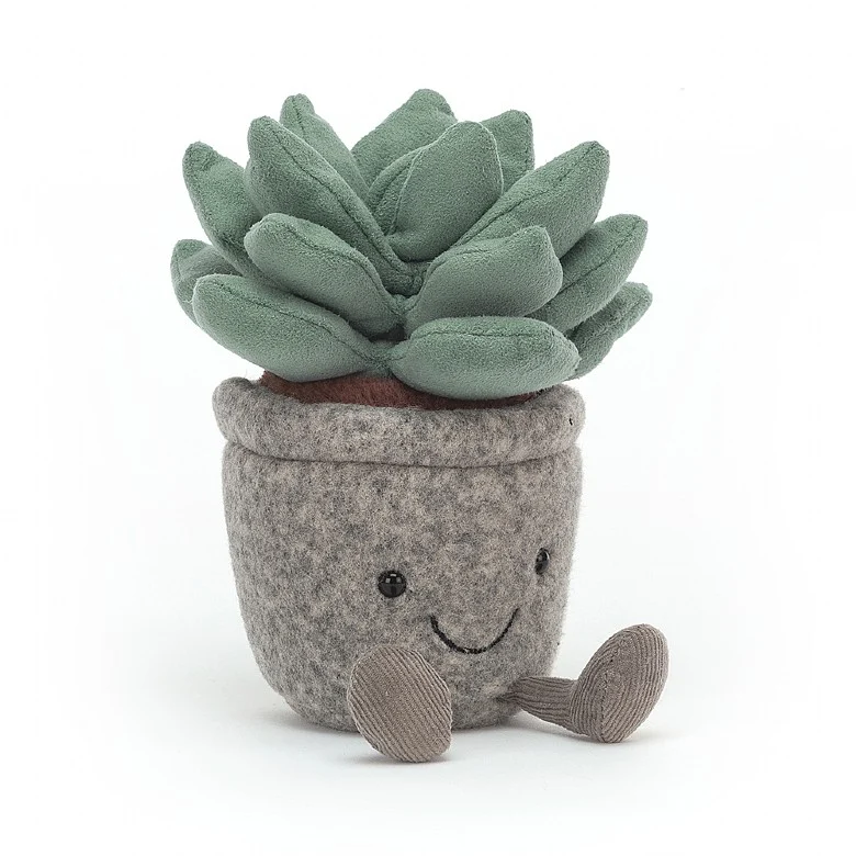 Silly Succulent