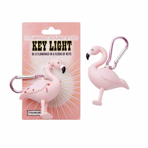 Sound & Light Key Rings