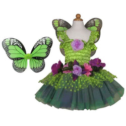 Fairy Dress & Wings