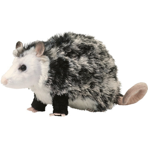 Oliver possum